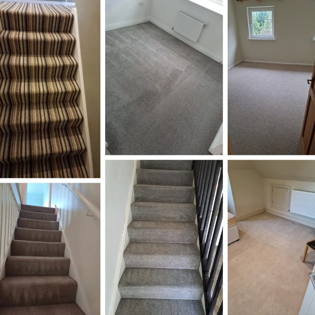 Professional carpet cleaning service in Manchester